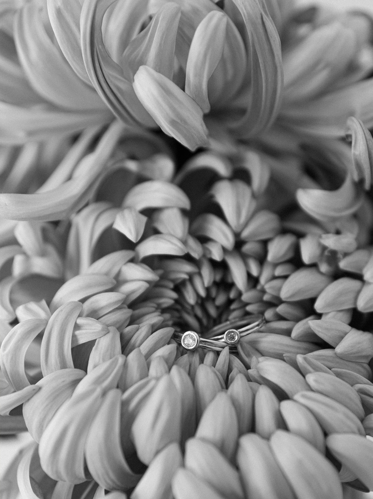 EN LINE - RING - AB_EL_R6-WG